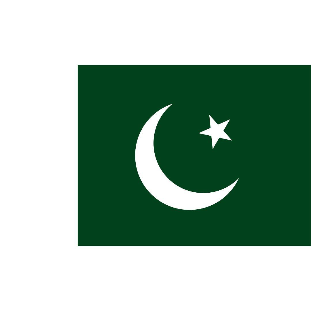 Steag Pakistan